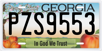 GA license plate PZS9553