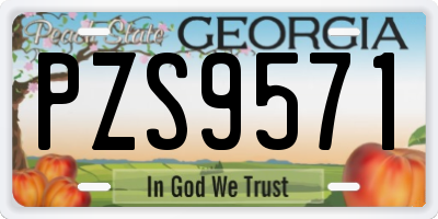 GA license plate PZS9571