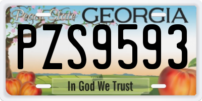 GA license plate PZS9593