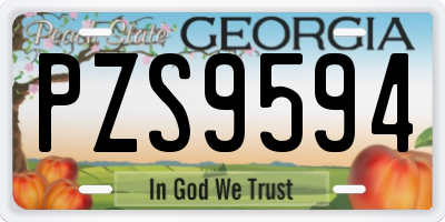 GA license plate PZS9594