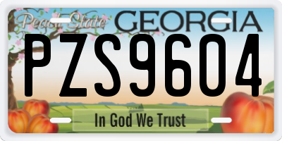 GA license plate PZS9604