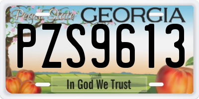 GA license plate PZS9613