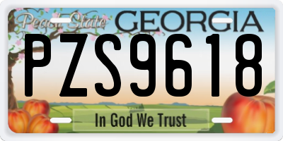GA license plate PZS9618