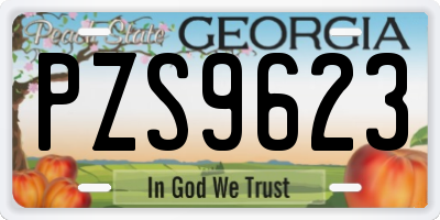 GA license plate PZS9623