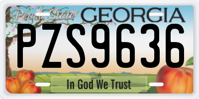 GA license plate PZS9636
