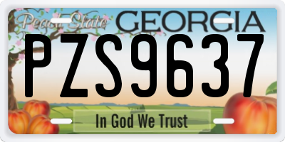 GA license plate PZS9637