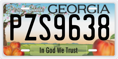 GA license plate PZS9638