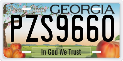 GA license plate PZS9660