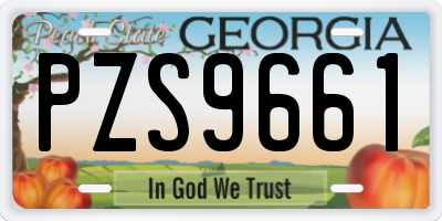 GA license plate PZS9661