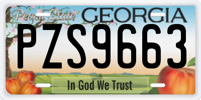 GA license plate PZS9663