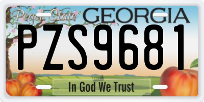 GA license plate PZS9681