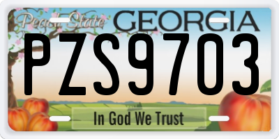 GA license plate PZS9703