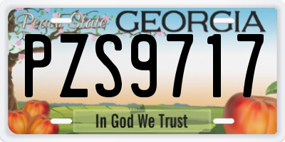 GA license plate PZS9717