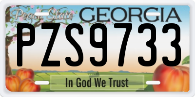 GA license plate PZS9733
