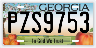 GA license plate PZS9753