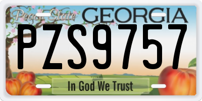 GA license plate PZS9757