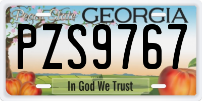 GA license plate PZS9767