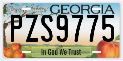 GA license plate PZS9775