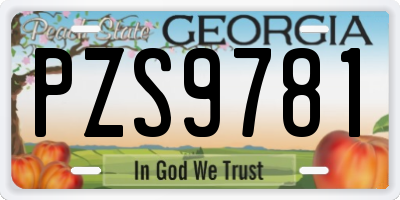 GA license plate PZS9781