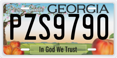 GA license plate PZS9790