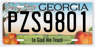 GA license plate PZS9801