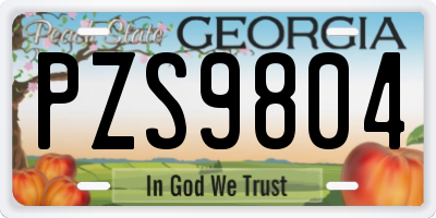 GA license plate PZS9804