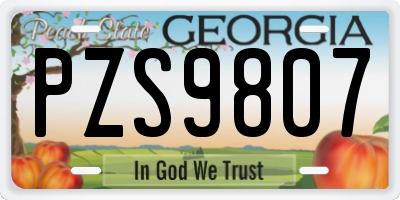 GA license plate PZS9807