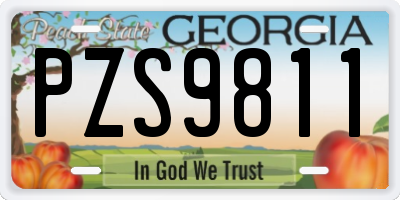 GA license plate PZS9811