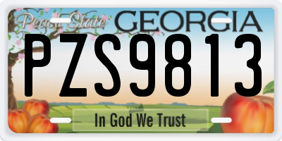 GA license plate PZS9813