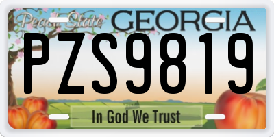 GA license plate PZS9819