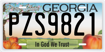 GA license plate PZS9821