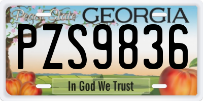 GA license plate PZS9836