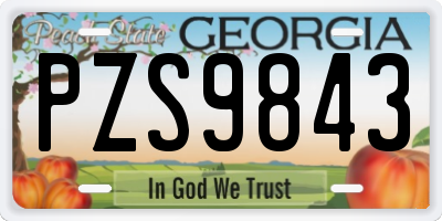 GA license plate PZS9843
