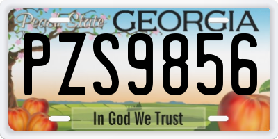 GA license plate PZS9856