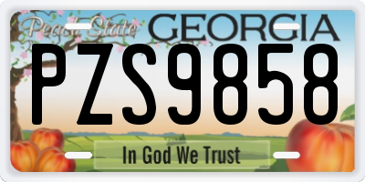 GA license plate PZS9858