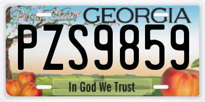 GA license plate PZS9859
