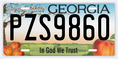 GA license plate PZS9860