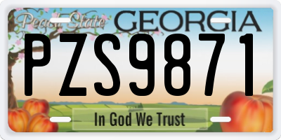 GA license plate PZS9871