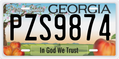 GA license plate PZS9874