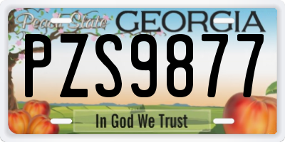 GA license plate PZS9877