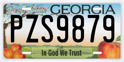 GA license plate PZS9879