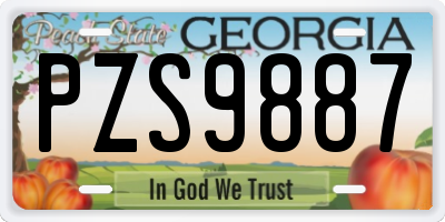 GA license plate PZS9887