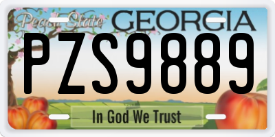 GA license plate PZS9889