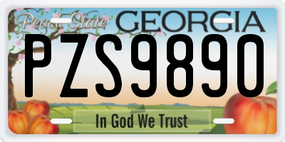 GA license plate PZS9890