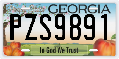 GA license plate PZS9891