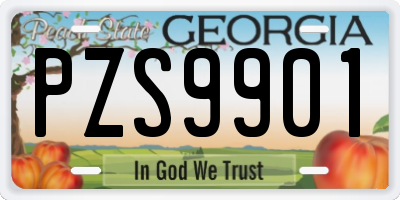 GA license plate PZS9901