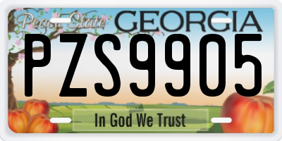 GA license plate PZS9905
