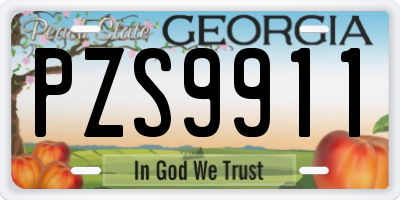 GA license plate PZS9911