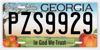 GA license plate PZS9929