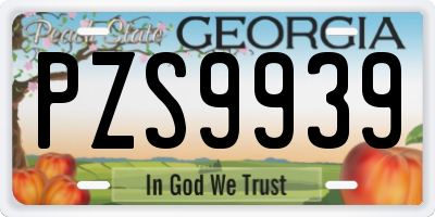 GA license plate PZS9939